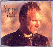 Sting - Desert Rose